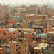 Image for article titled 10 Weirdest Urban Ecosystems On Earth